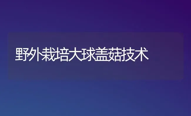 野外栽培大球盖菇技术 | 食用菌种植