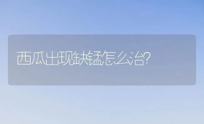 西瓜出现缺锰怎么治？ | 瓜果种植