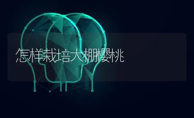 怎样栽培大棚樱桃 | 瓜果种植