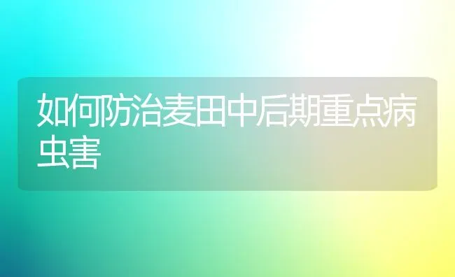 如何防治麦田中后期重点病虫害 | 种植病虫害防治