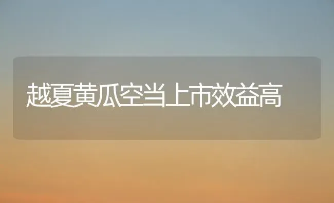 越夏黄瓜空当上市效益高 | 蔬菜种植