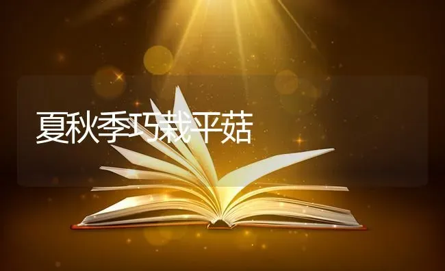 夏秋季巧栽平菇 | 食用菌种植