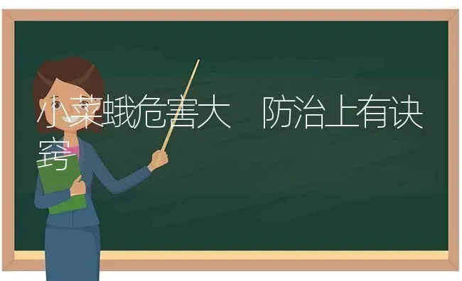 小菜蛾危害大 防治上有诀窍 | 蔬菜种植