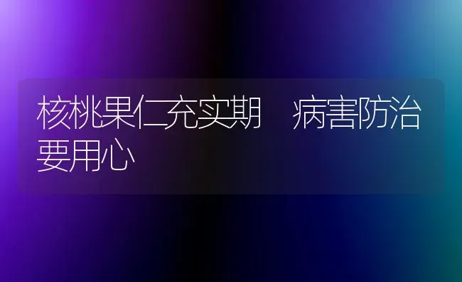 核桃果仁充实期 病害防治要用心 | 瓜果种植