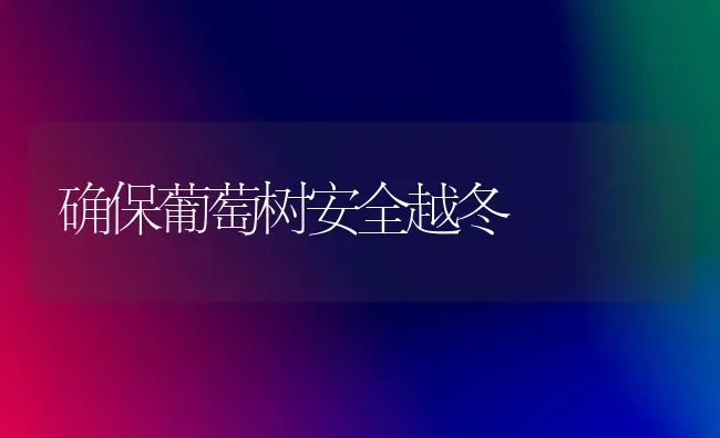 确保葡萄树安全越冬 | 瓜果种植