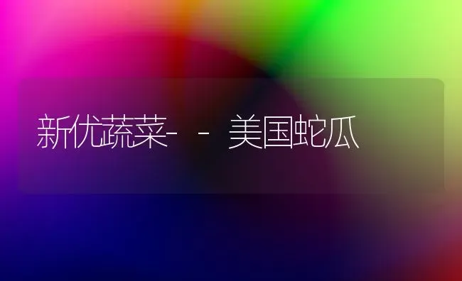 新优蔬菜--美国蛇瓜 | 蔬菜种植