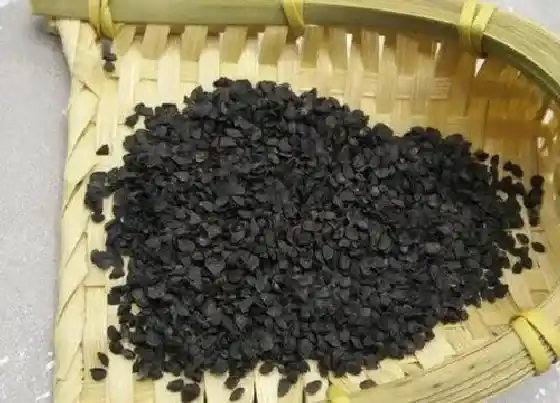 植物百科|香葱有种子吗