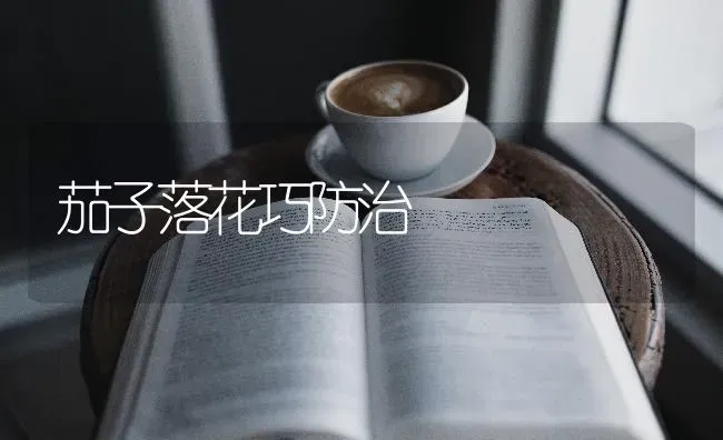 茄子落花巧防治 | 蔬菜种植