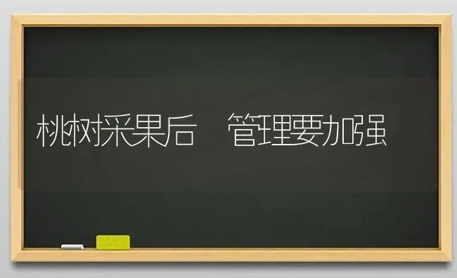 桃树采果后 管理要加强 | 瓜果种植