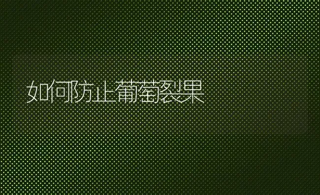 如何防止葡萄裂果 | 瓜果种植