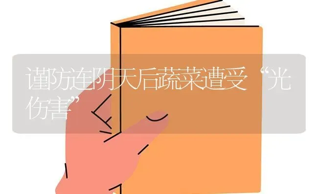 谨防连阴天后蔬菜遭受“光伤害” | 蔬菜种植