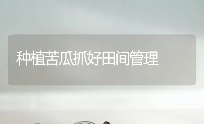 种植苦瓜抓好田间管理 | 植物种植百科
