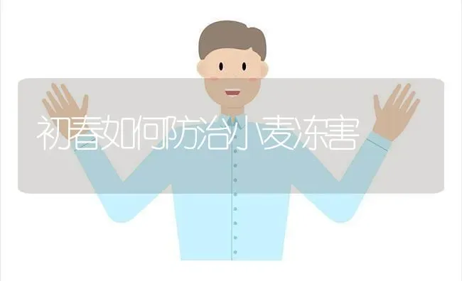 初春如何防治小麦冻害 | 粮油作物种植