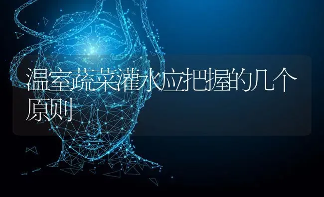 温室蔬菜灌水应把握的几个原则 | 蔬菜种植