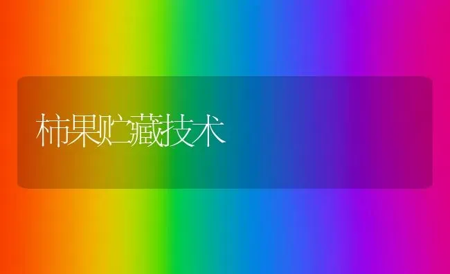 柿果贮藏技术 | 瓜果种植