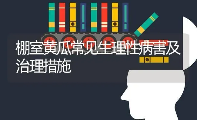 棚室黄瓜常见生理性病害及治理措施 | 蔬菜种植