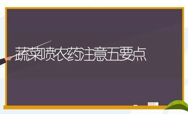 蔬菜喷农药注意五要点 | 蔬菜种植