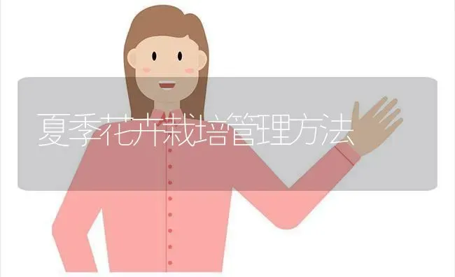 精选优质高产小麦新品种 | 粮油作物种植