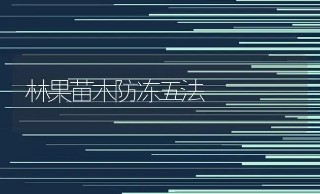林果苗木防冻五法 | 瓜果种植
