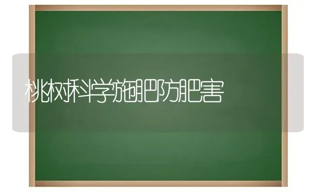 桃树科学施肥防肥害 | 种植肥料施肥
