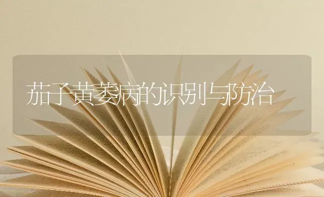 茄子黄萎病的识别与防治 | 蔬菜种植