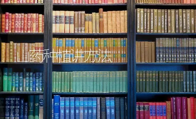 山药种植讲方法 | 植物种植百科