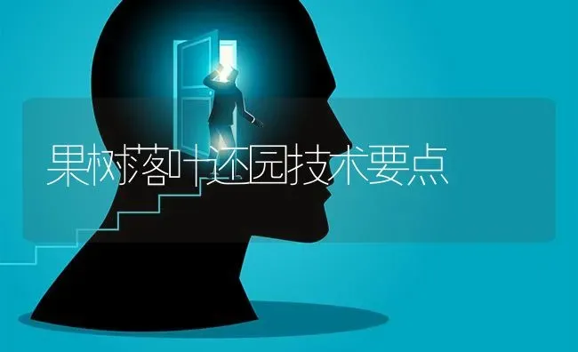 果树落叶还园技术要点 | 瓜果种植