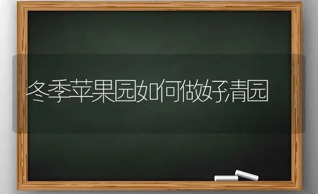 冬季苹果园如何做好清园 | 瓜果种植