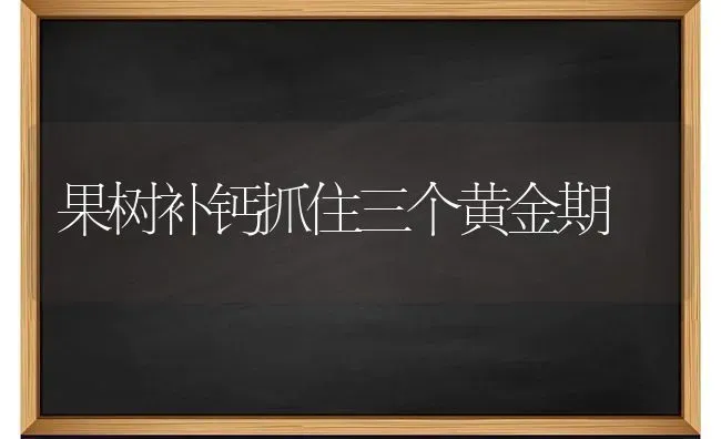 果树补钙抓住三个黄金期 | 瓜果种植