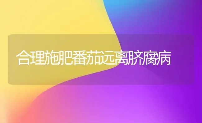 合理施肥番茄远离脐腐病 | 种植肥料施肥