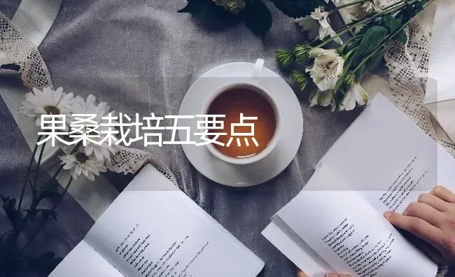 果桑栽培五要点 | 瓜果种植