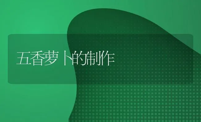 五香萝卜的制作 | 蔬菜种植