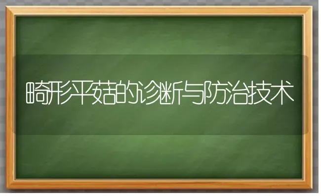 畸形平菇的诊断与防治技术 | 食用菌种植