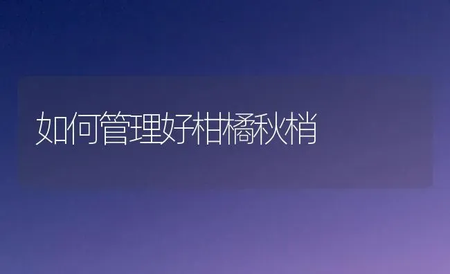 种纯白平菇抓关键高产质优多赚钱 | 食用菌种植