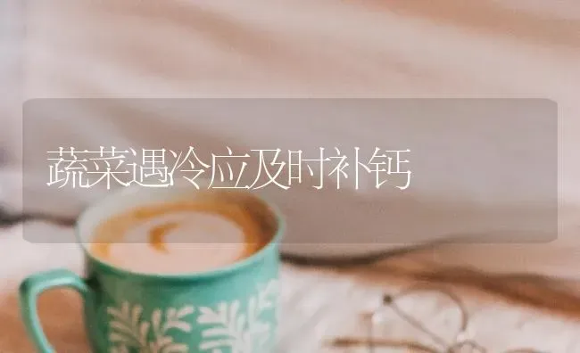 蔬菜遇冷应及时补钙 | 蔬菜种植