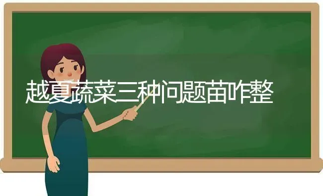 越夏蔬菜三种问题苗咋整 | 蔬菜种植