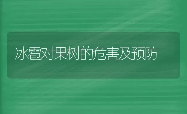 冰雹对果树的危害及预防 | 瓜果种植