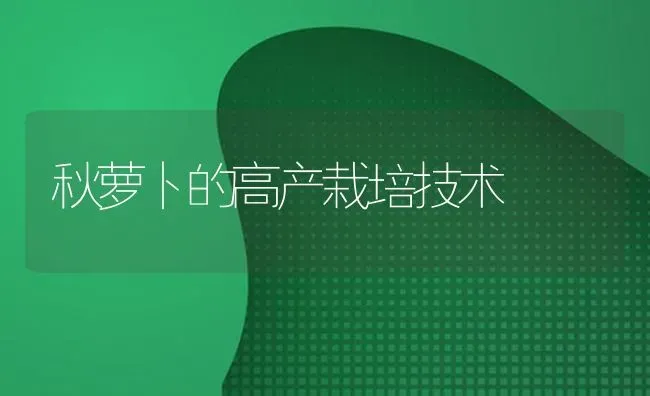 秋萝卜的高产栽培技术 | 蔬菜种植
