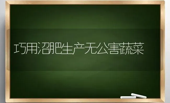 巧用沼肥生产无公害蔬菜 | 蔬菜种植