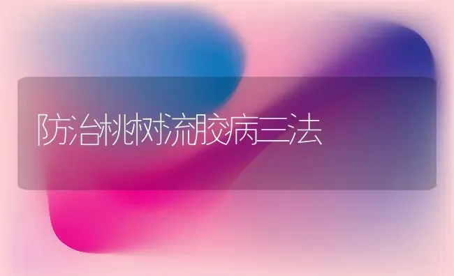 防治桃树流胶病三法 | 瓜果种植