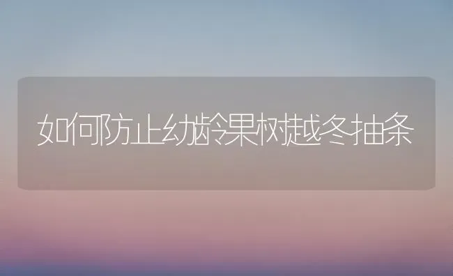 如何防止幼龄果树越冬抽条 | 瓜果种植