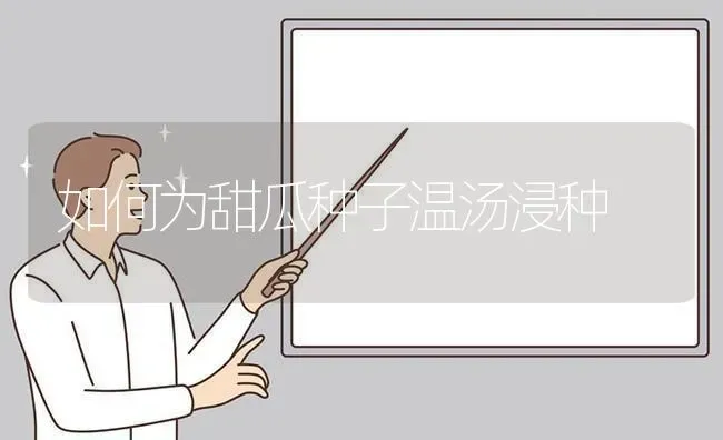 如何为甜瓜种子温汤浸种 | 瓜果种植