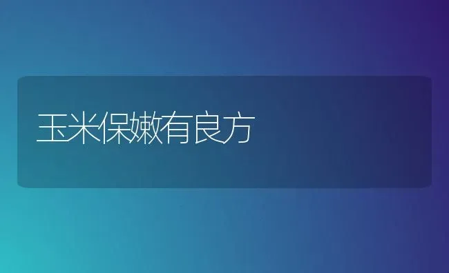 玉米保嫩有良方 | 粮油作物种植