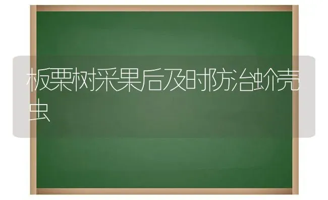 板栗树采果后及时防治蚧壳虫 | 瓜果种植