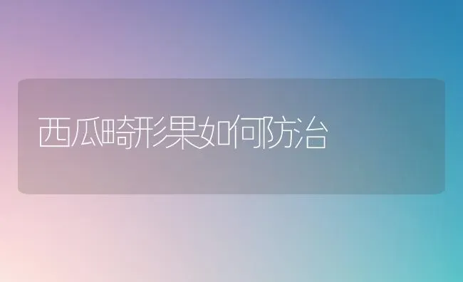 农户在购买农药时应关注哪些细节 | 种植病虫害防治