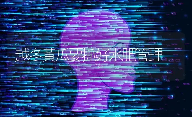 越冬黄瓜要抓好水肥管理 | 蔬菜种植