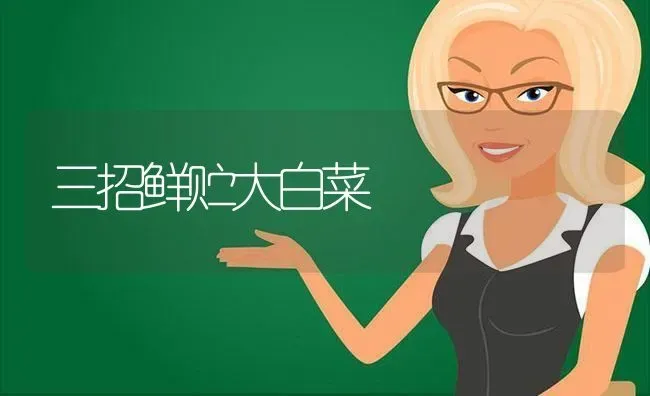 三招鲜贮大白菜 | 蔬菜种植