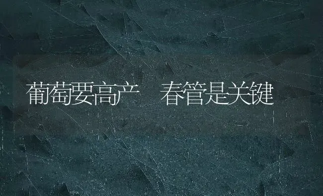 葡萄要高产 春管是关键 | 瓜果种植