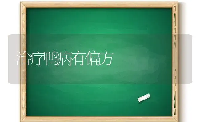 7月果园管理病害问题防治方案 | 瓜果种植