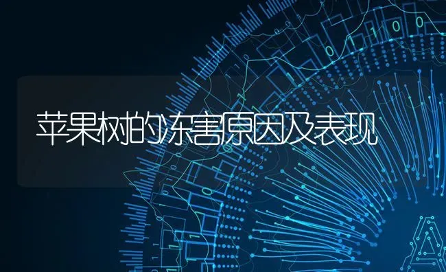苹果树的冻害原因及表现 | 瓜果种植